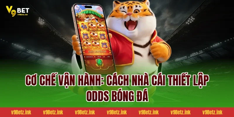 Cơ chế vận hành: Cách nhà cái thiết lập Odds bóng đá